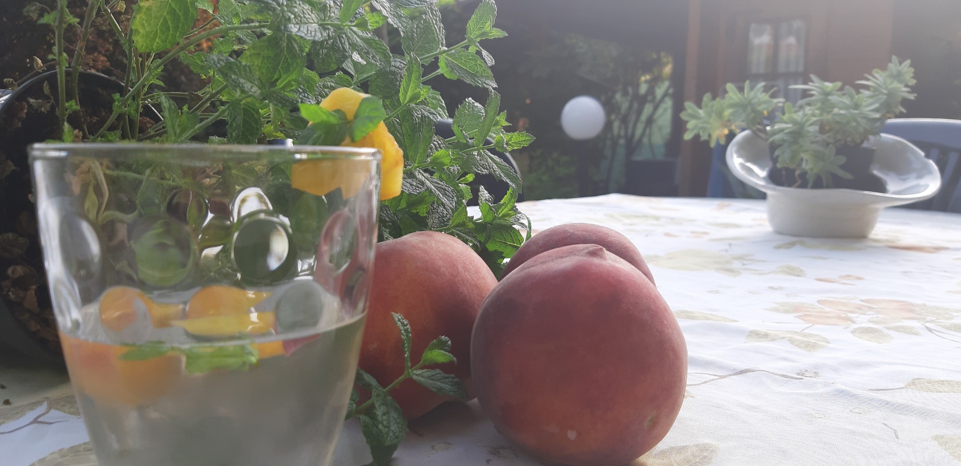 Acqua detox menta e pesca