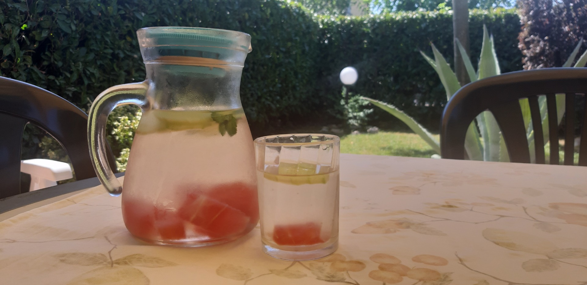 Acqua detox con centrioli, menta e anguria